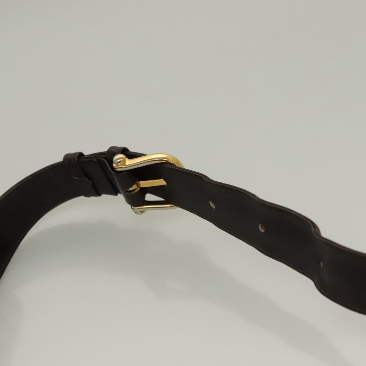 CELINE Shoulder Bag Leather Brown Gold Auth 132899