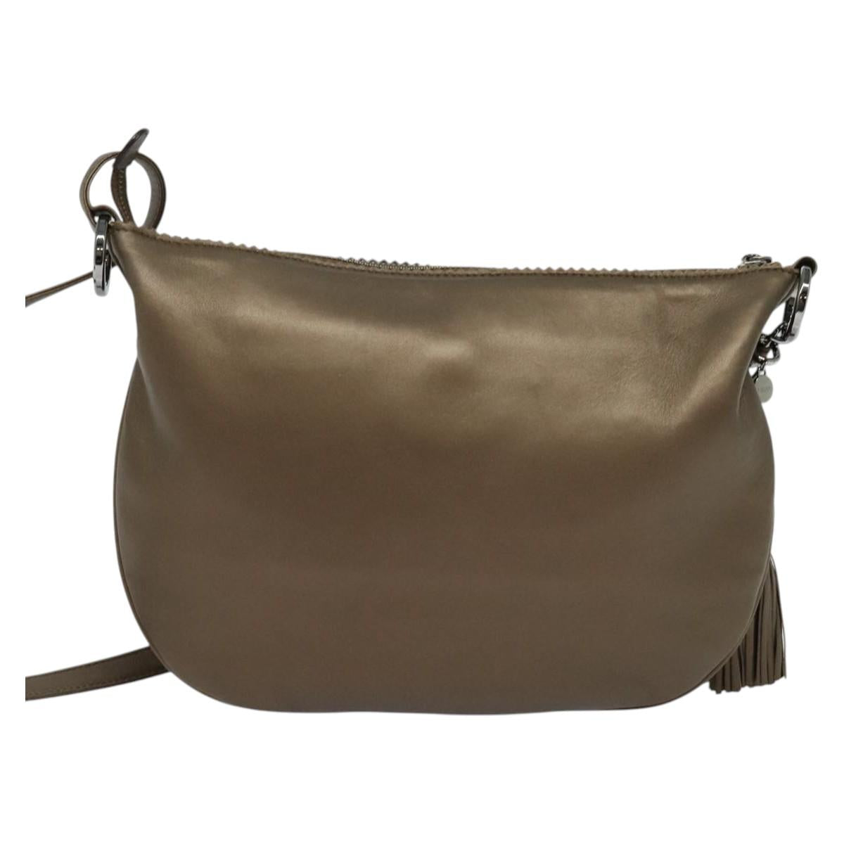 LOEWE Shoulder Bag Leather Metallic brown Auth 135002