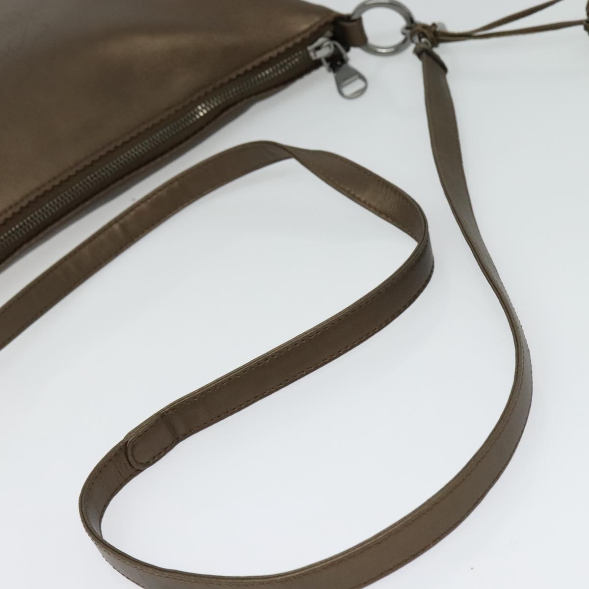 LOEWE Shoulder Bag Leather Metallic brown Auth 135002