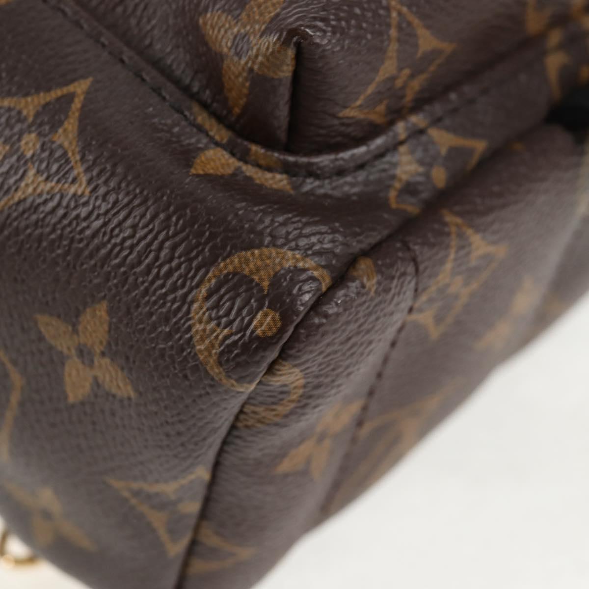 LOUIS VUITTON Monogram World Tour Palm Springs Shoulder Bag M42971 Auth 135119SAM