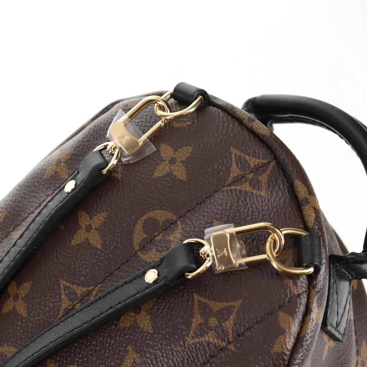 LOUIS VUITTON Monogram World Tour Palm Springs Shoulder Bag M42971 Auth 135119SAM