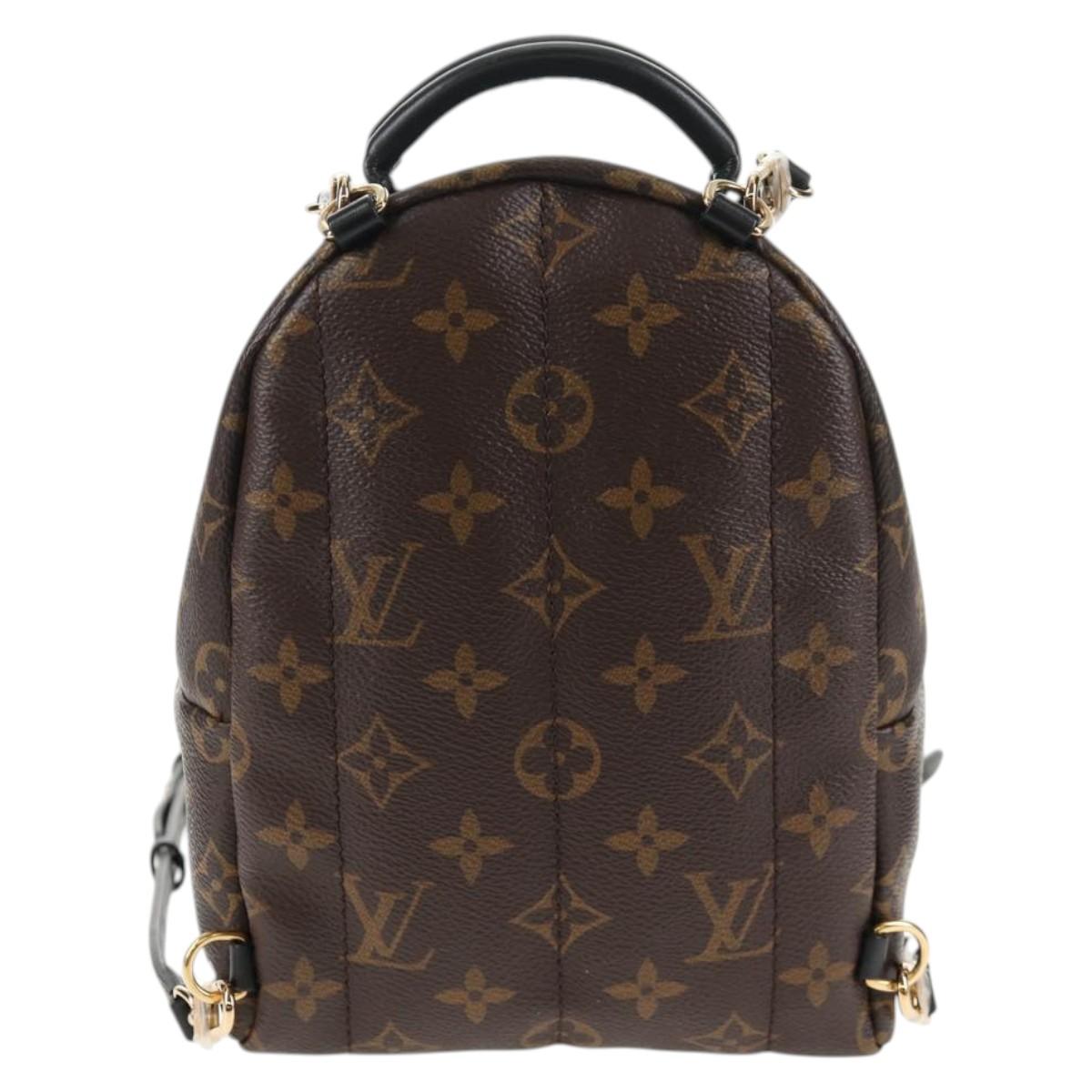 LOUIS VUITTON Monogram World Tour Palm Springs Shoulder Bag M42971 Auth 135119SAM