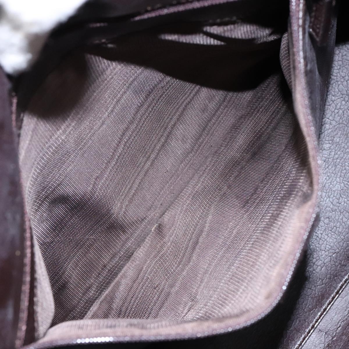 GUCCI Shoulder Bag Nylon Brown Silver 001 3017 Auth 135184