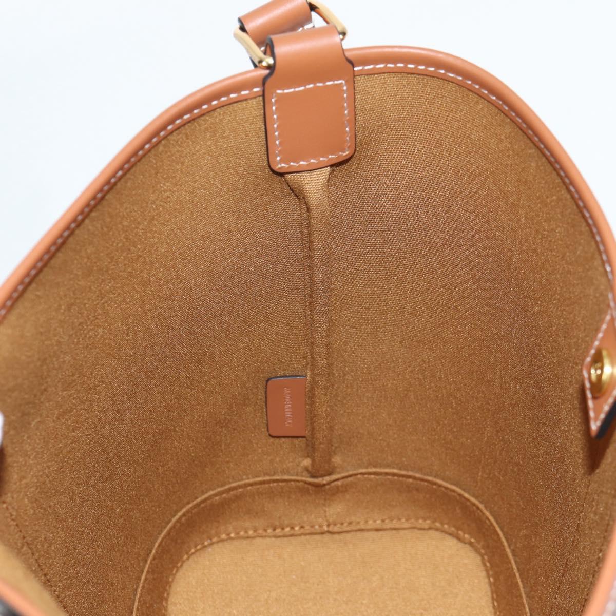 CELINE Triomphe Small Bucket Shoulder Bag PVC Leather Black Gold Auth 135273SM