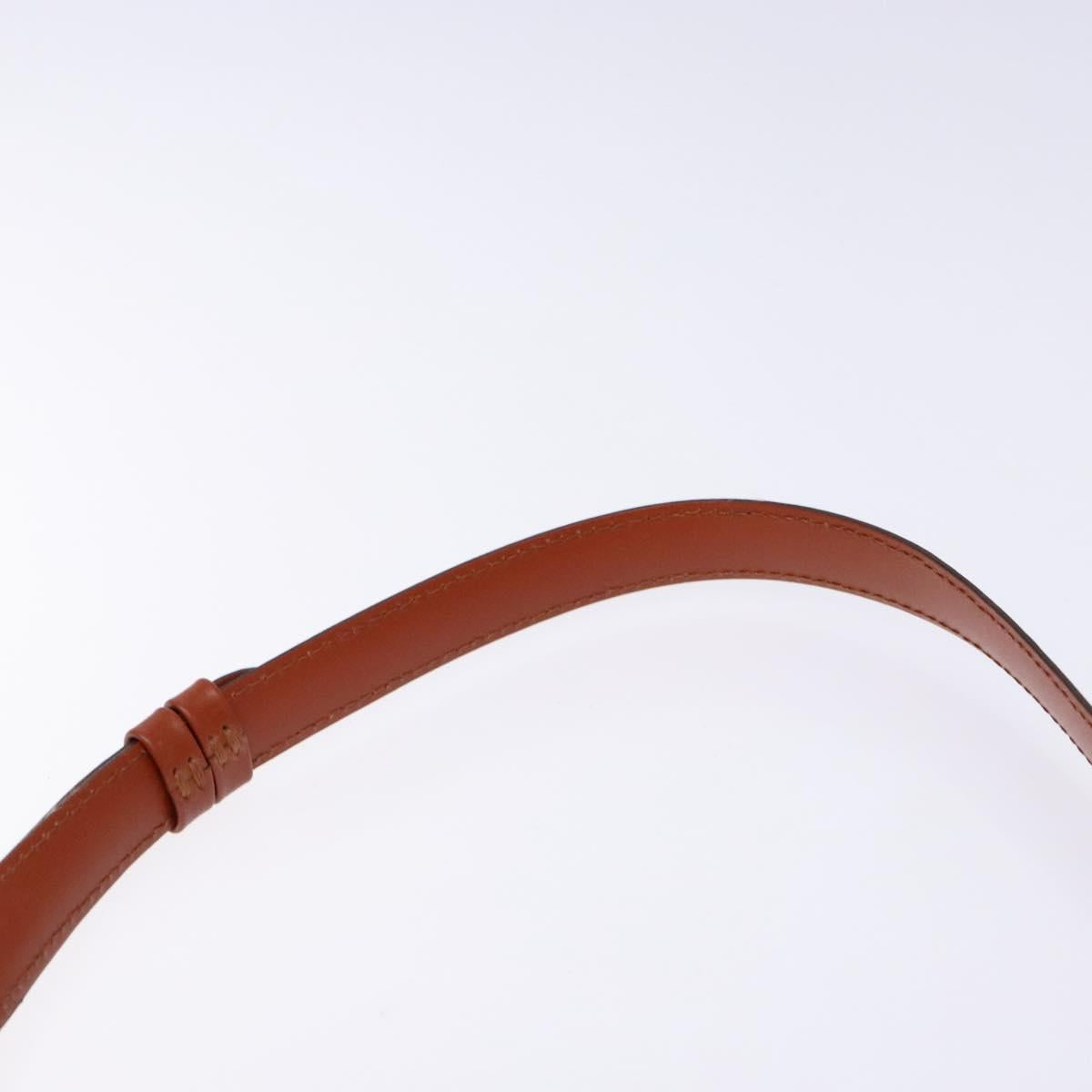 LOUIS VUITTON Epi Cluny Shoulder Bag Brown M52253 LV Auth 136260