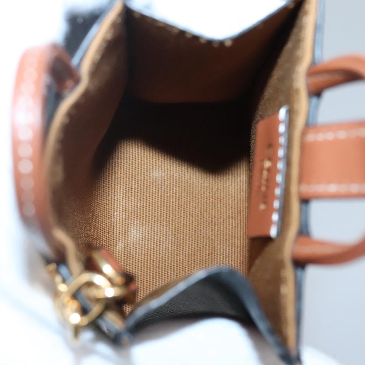 CELINE Triomphe Key Case PVC Black Gold Auth 136339