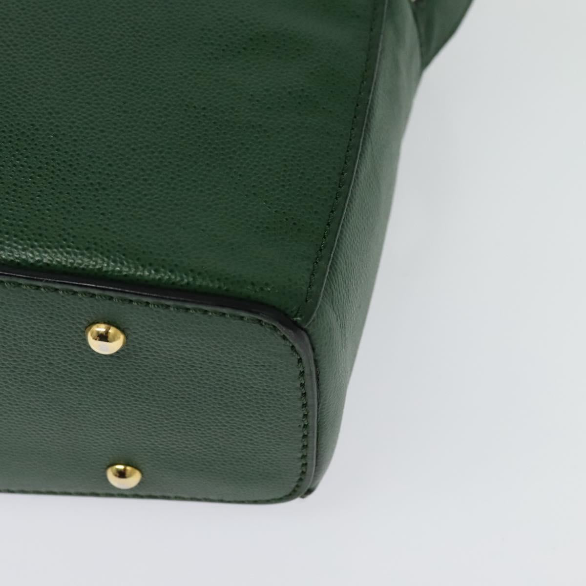 CELINE Shoulder Bag Leather Green Gold Auth 137184