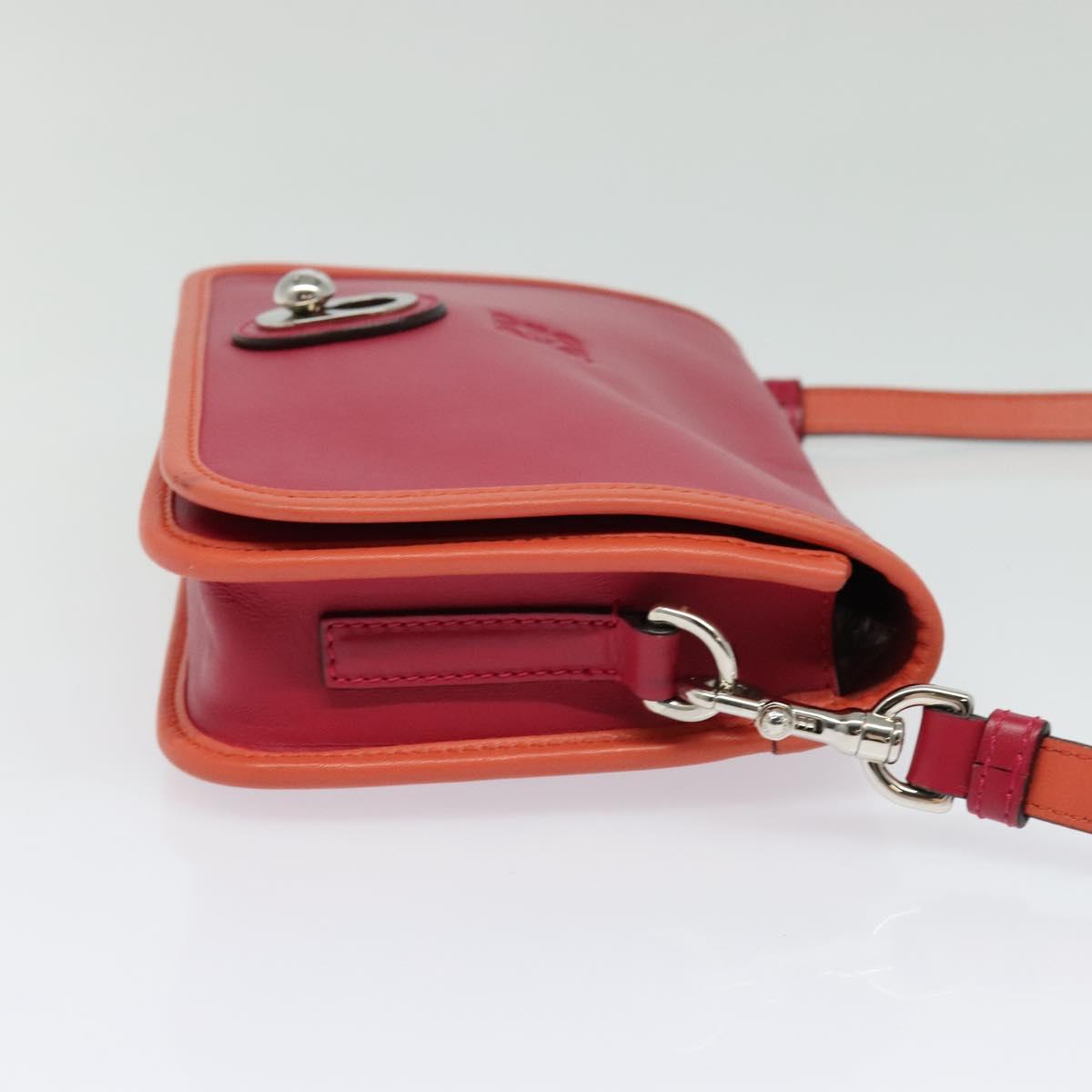 LOEWE Ines Shoulder Bag Leather Pink Silver Auth 138557