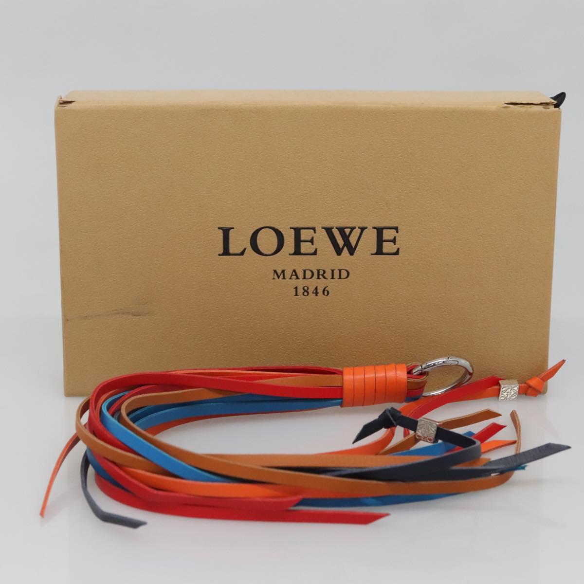 LOEWE Bag Charm Leather Multicolor Auth 138576