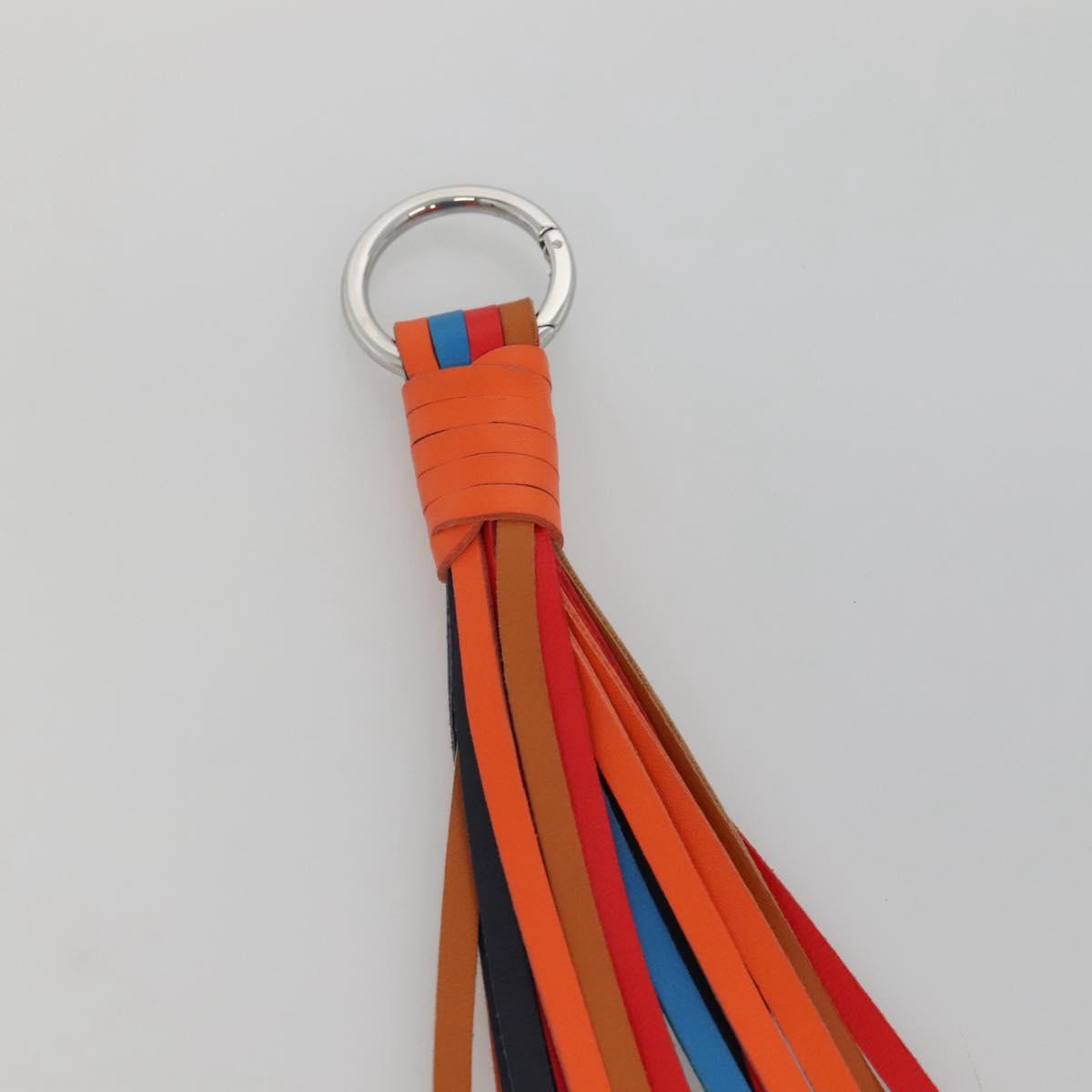 LOEWE Bag Charm Leather Multicolor Auth 138576