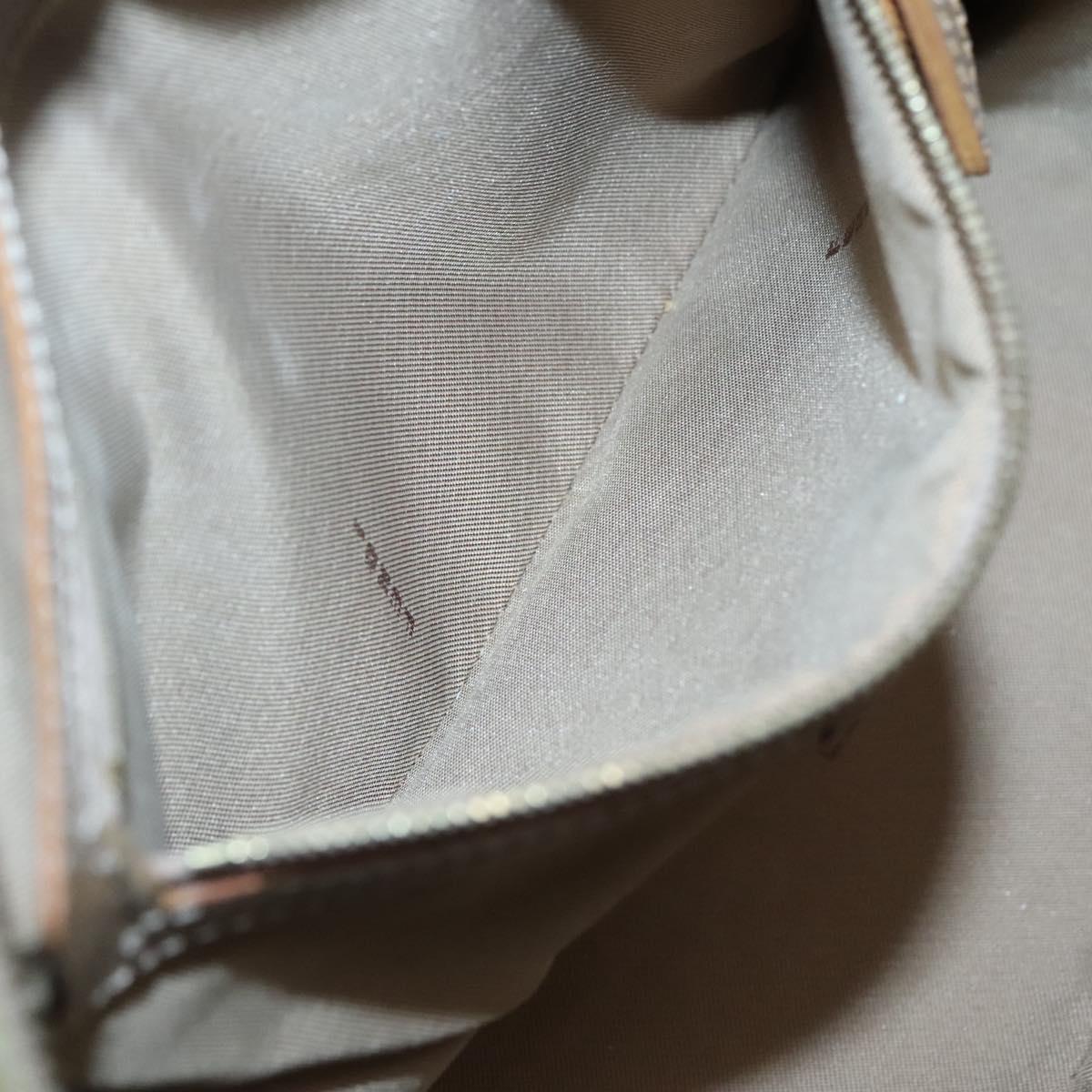 FENDI Zucchino Canvas Hand Bag Coated Canvas Peppermint Gold Auth 140112