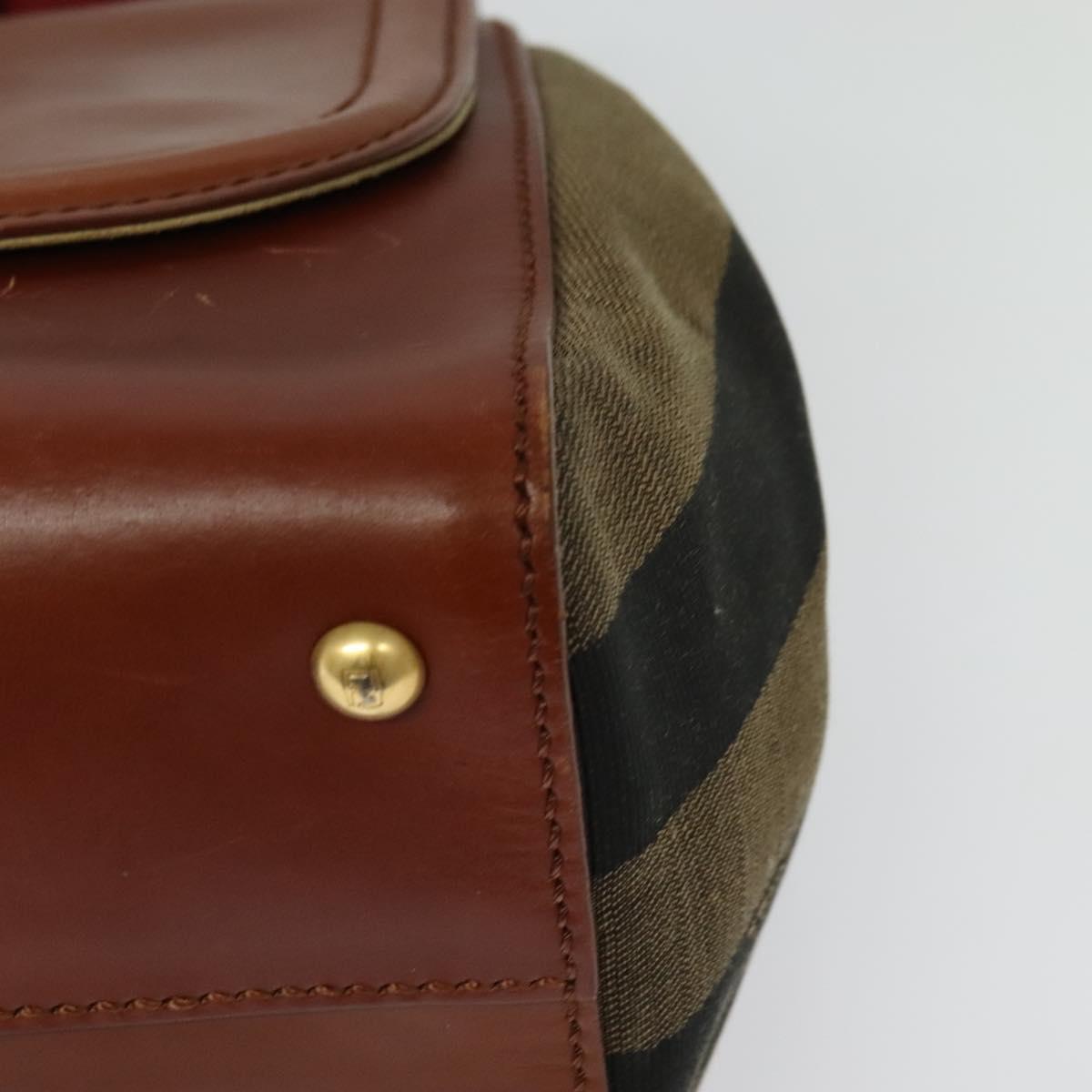FENDI Pecan Canvas Hand Bag 2way Black Brown Auth 140723