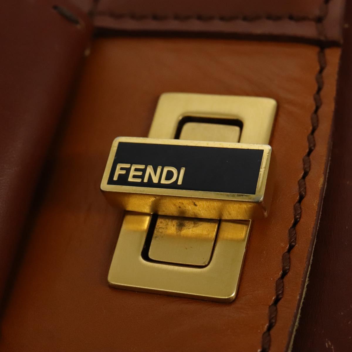 FENDI Pecan Canvas Hand Bag 2way Black Brown Auth 140723