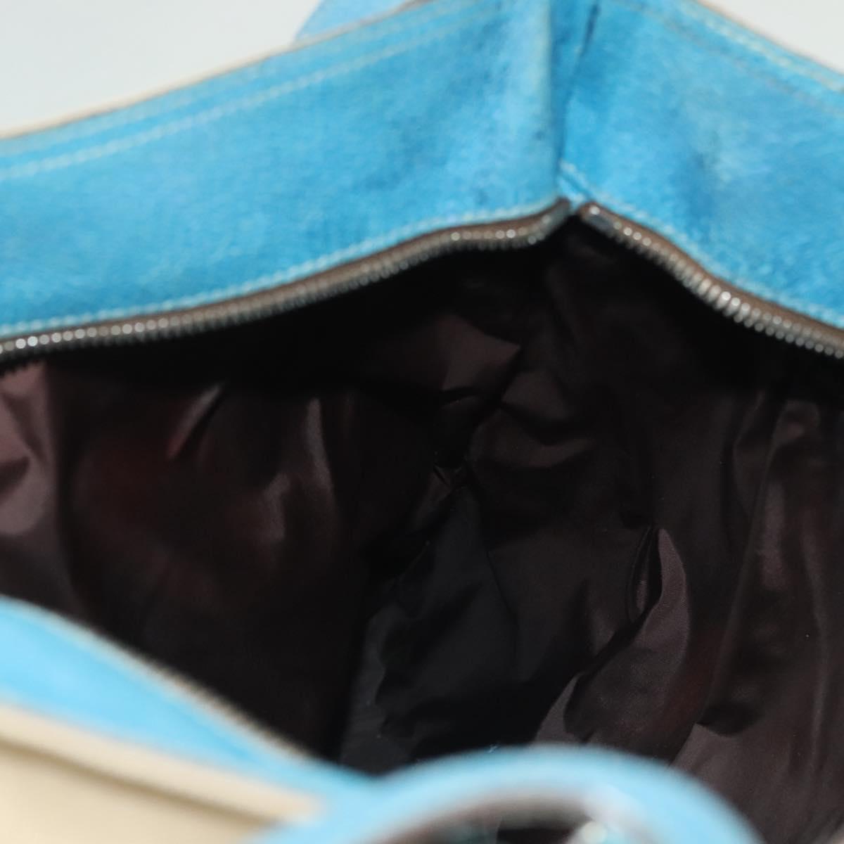 PRADA Shoulder Bag Canvas Beige Silver Auth 141428