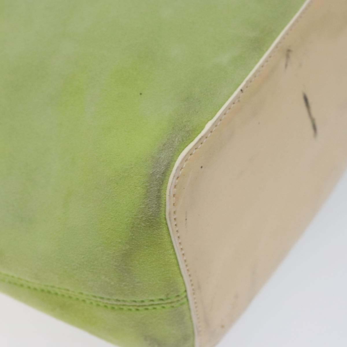 CELINE Hand Bag Suede Silver Light green Auth 141764