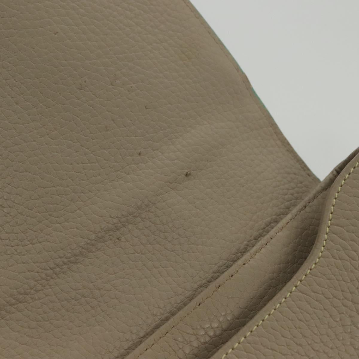 LOEWE Shoulder Bag Leather Beige Silver Auth 141961V