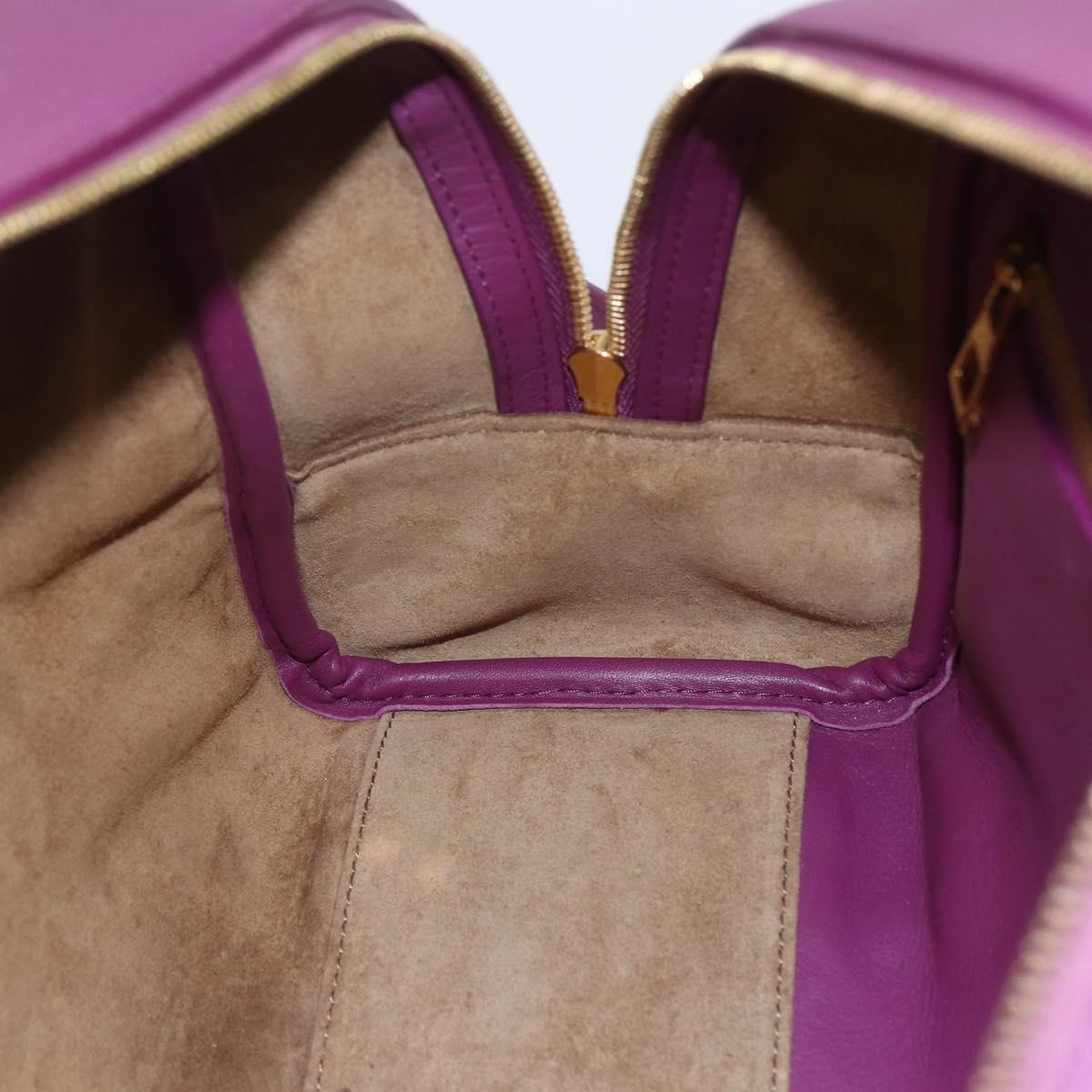 LOEWE Americana 28 Studio Ghibli Hand Bag Leather 2way Purple Auth 142978SAM