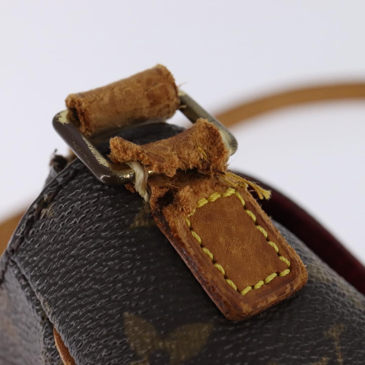 LOUIS VUITTON Monogram Viva Cite PM Shoulder Bag M51165 LV Auth 143139