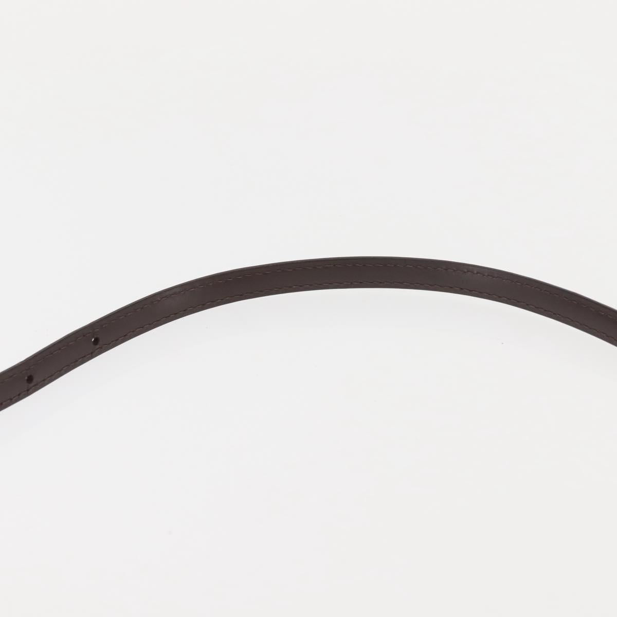 LOUIS VUITTON Damier Ebene Eva Shoulder Bag 2way N55213 LV Auth 143483