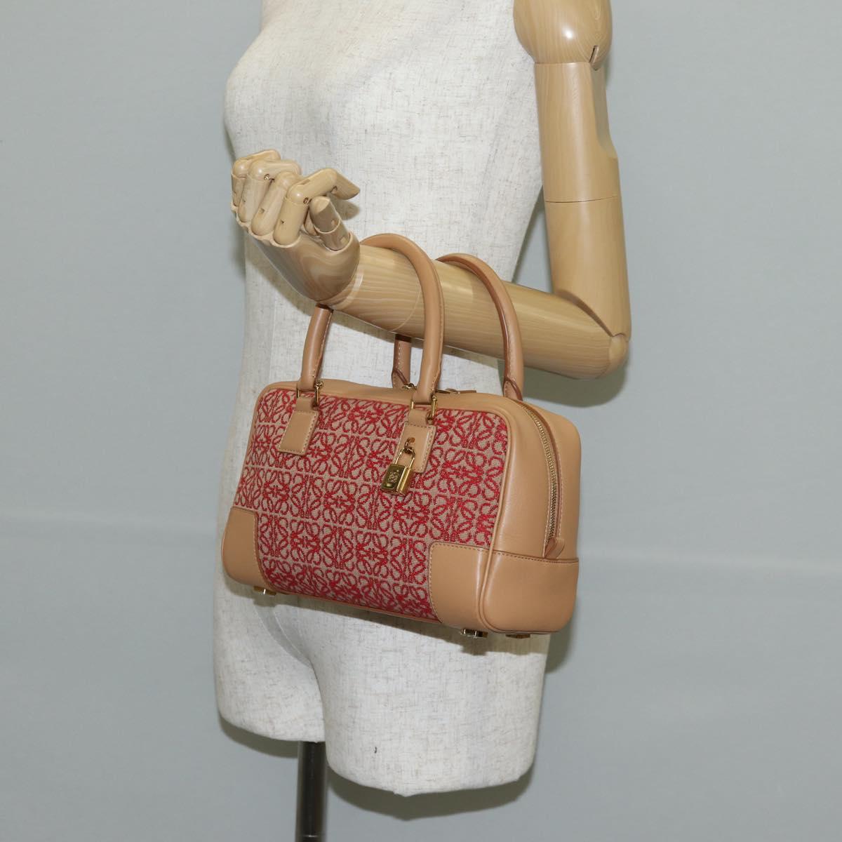 LOEWE Amazonas 23 Hand Bag Canvas Leather Beige Gold Auth 144410M