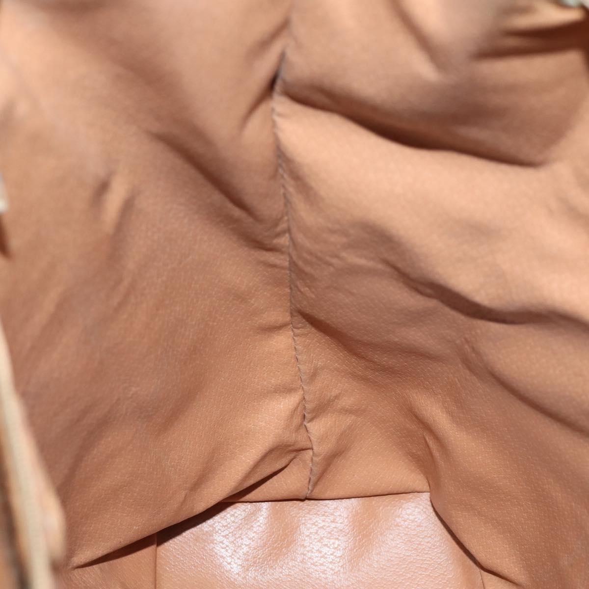 CELINE Macadam Canvas Backpack PVC Leather Beige Gold Auth 144815