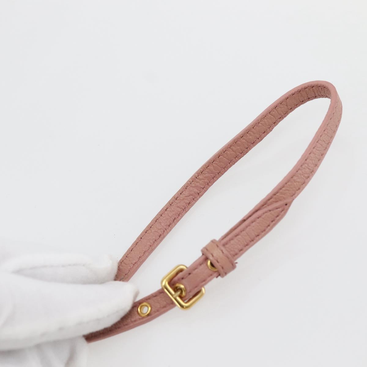 Miu Miu Pouch Leather Beige Gold Auth 144819V