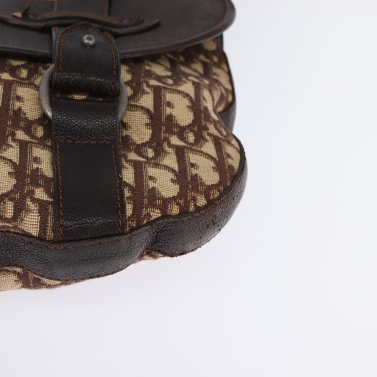 Christian Dior Trotter Canvas Shoulder Bag Brown Silver Auth 144872