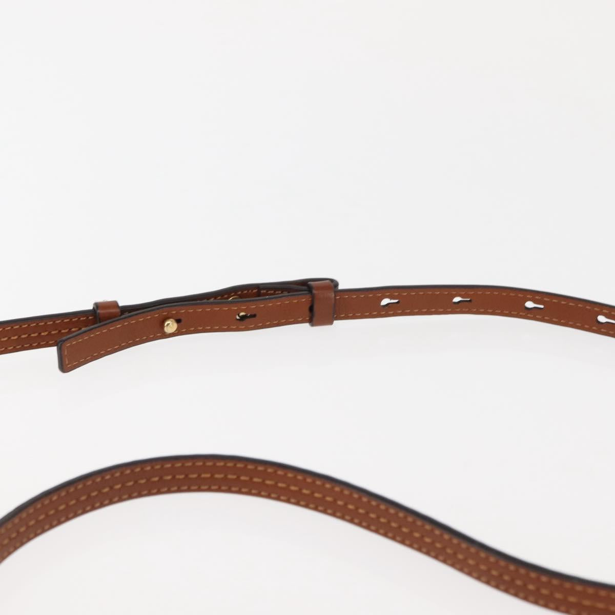 Chloe Nile Hand Bag Leather 2way Brown Gold Auth 145889