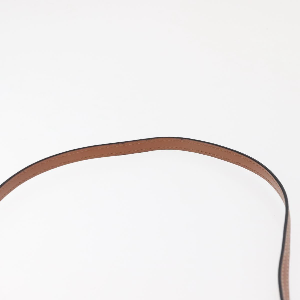 LOEWE Anagram Phone Shoulder Pouch Leather Gold Pink Orange Auth 146048