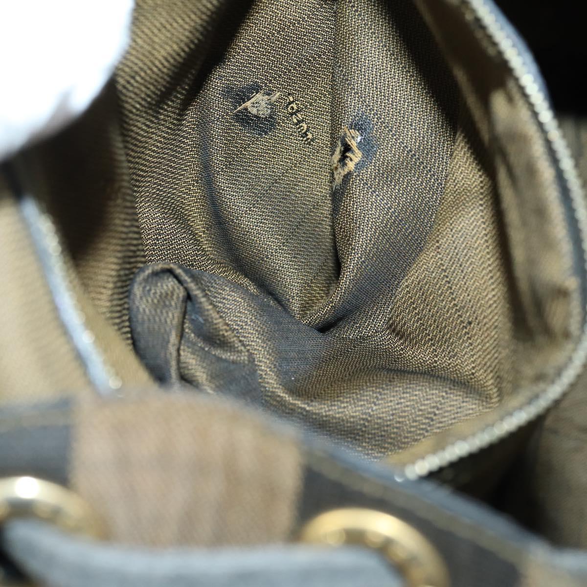 FENDI Pecan Canvas Backpack Brown Black Auth 146280