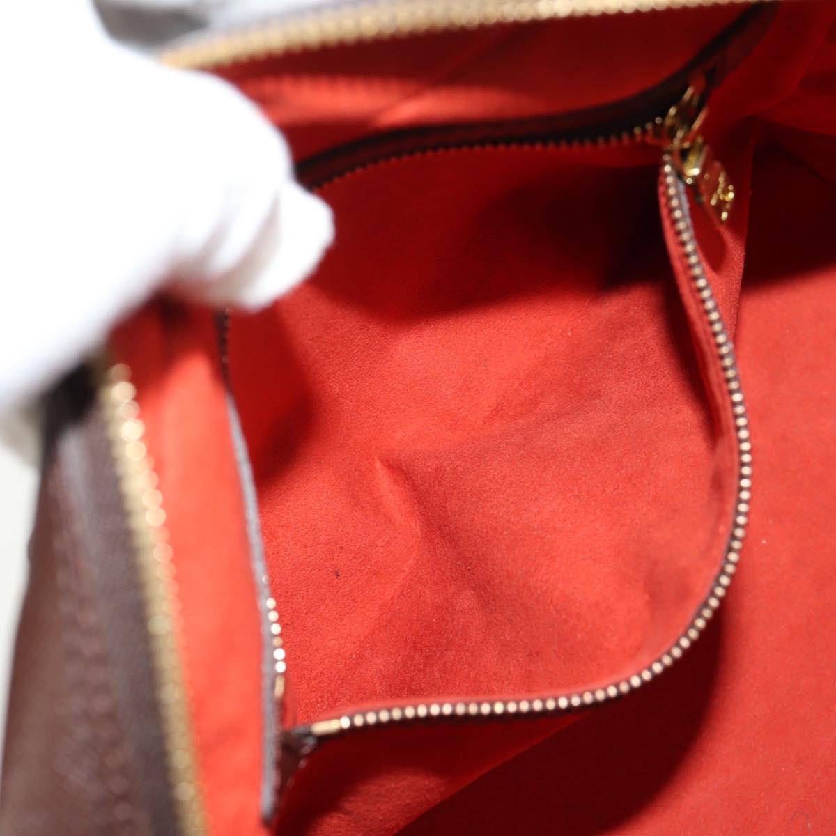 LOUIS VUITTON Damier Ebene Brera Hand Bag N51150 LV Auth 146743V