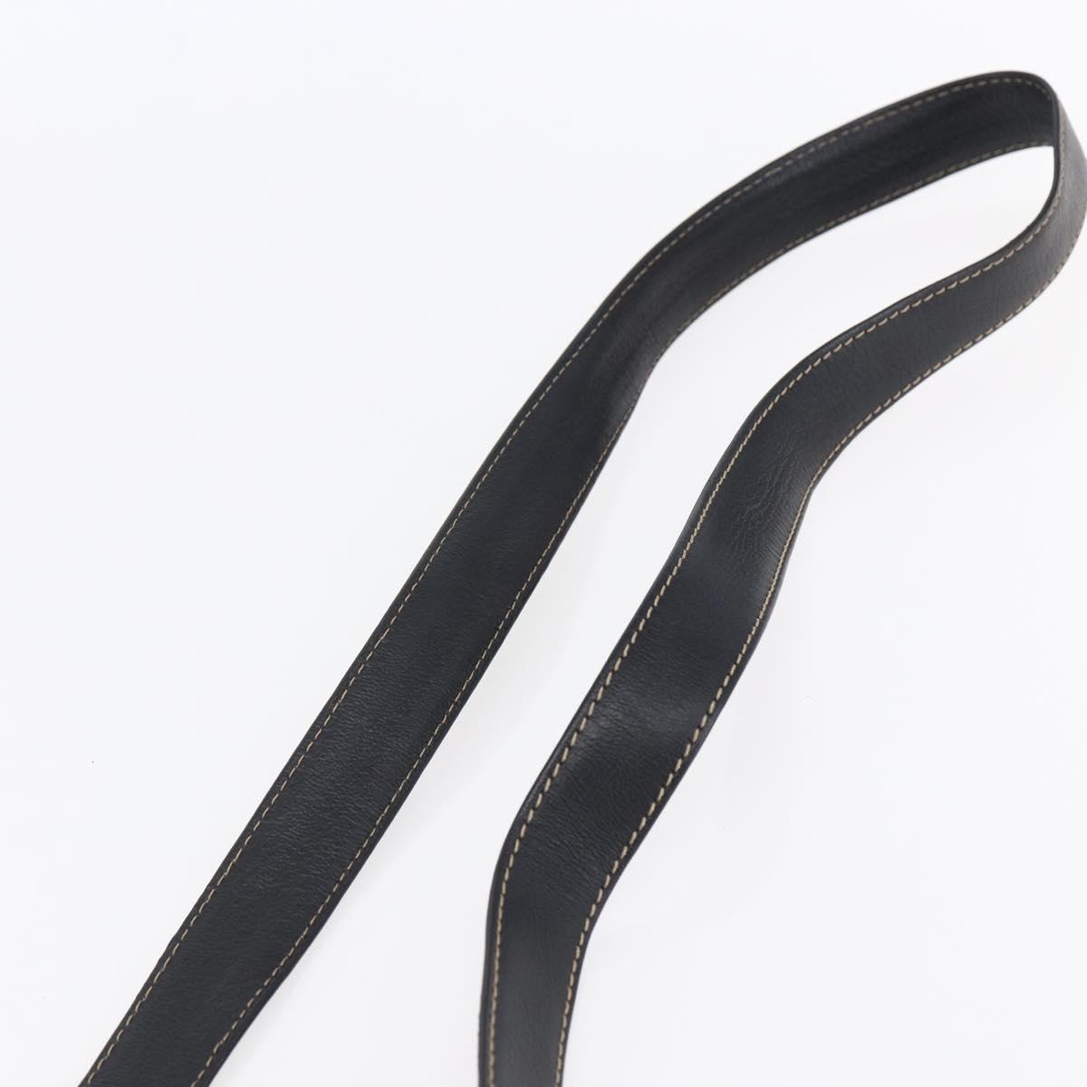 LOEWE Velazquez Shoulder Bag Leather Brown Gold Auth 146928