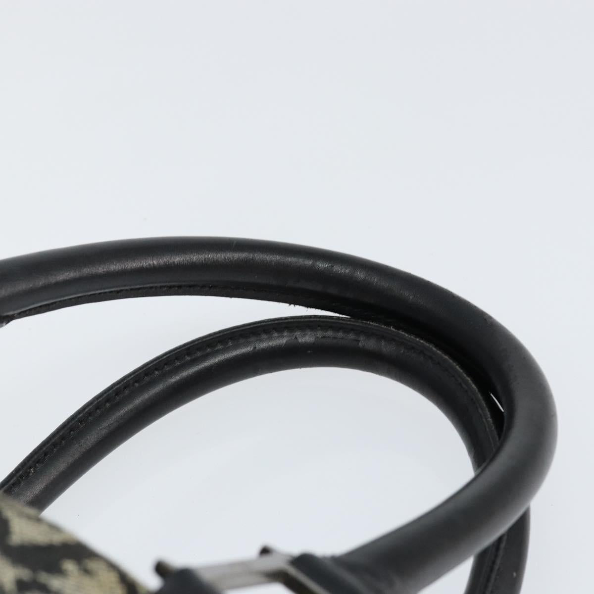 Christian Dior Trotter Canvas Mini Boston Bag Black Silver Auth 146933