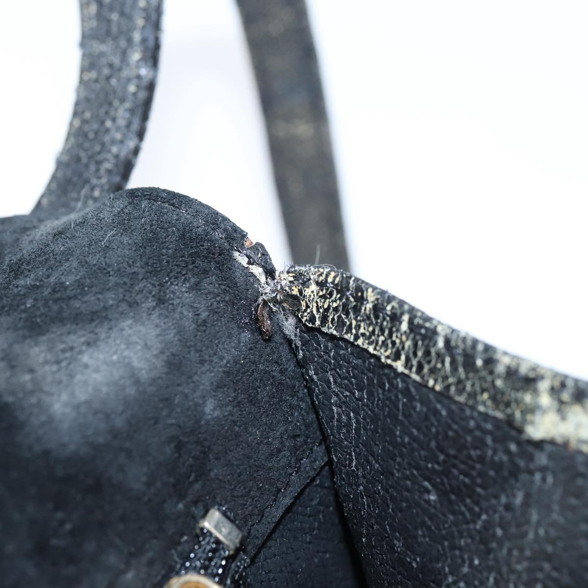 FENDI Shoulder Bag Suede Vintage Black Gold Auth 147044