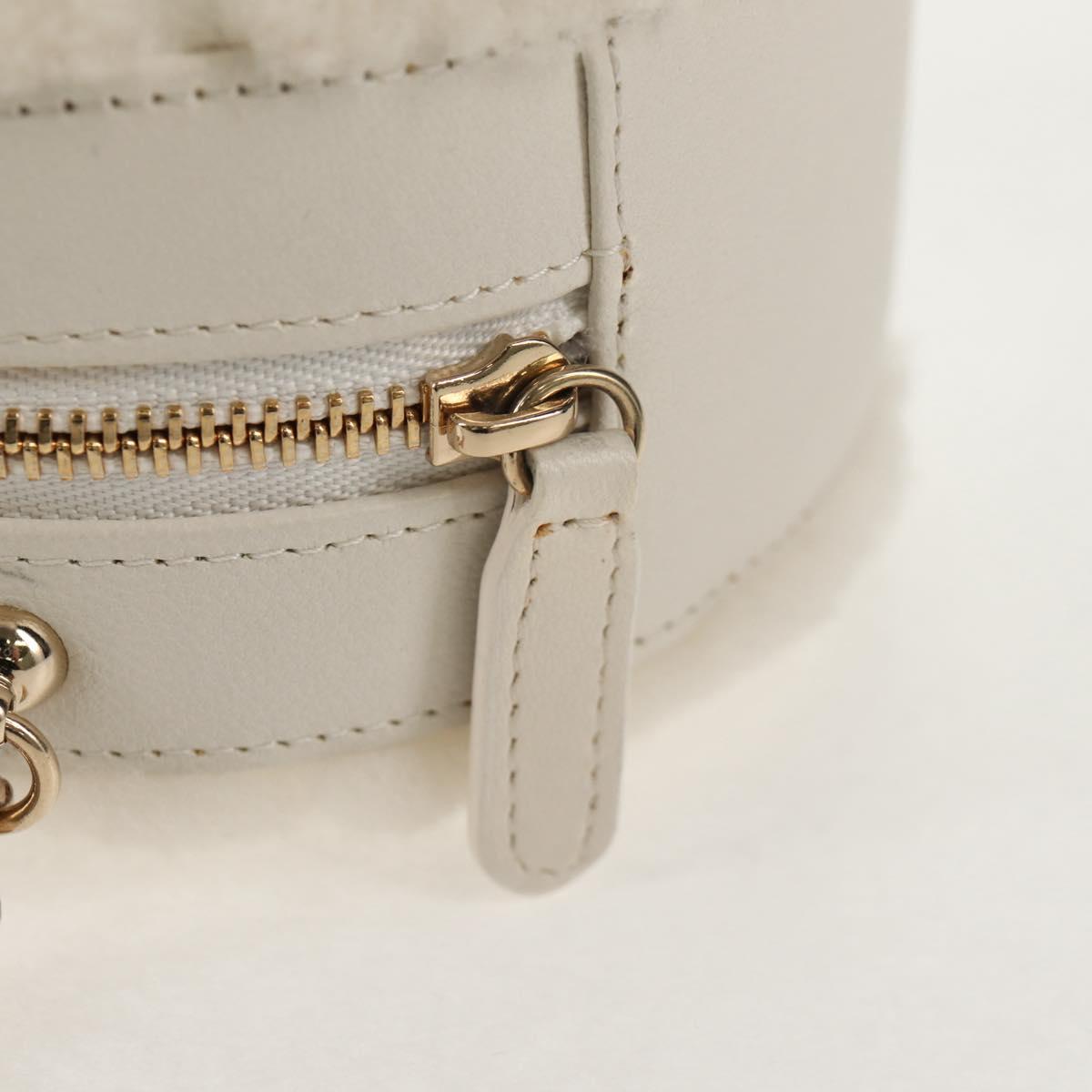CHANEL V Stitch Chain Shoulder Bag Mouton White Gold CC Auth 148461AM
