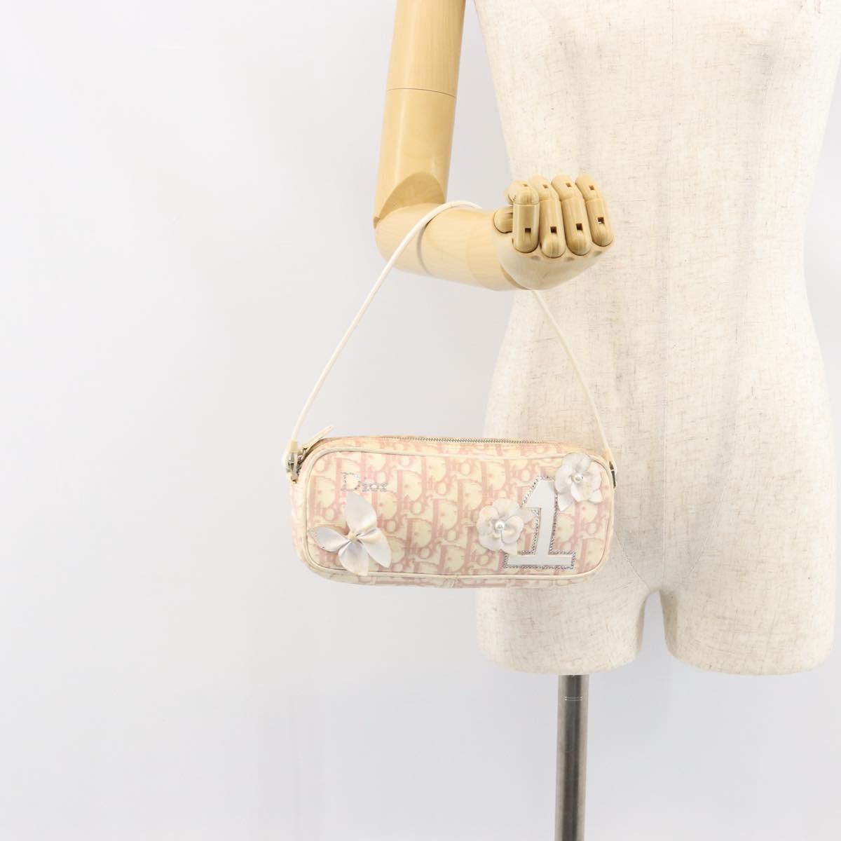 Christian Dior Trotter Canvas Shoulder Bag Pink Silver Auth 148874