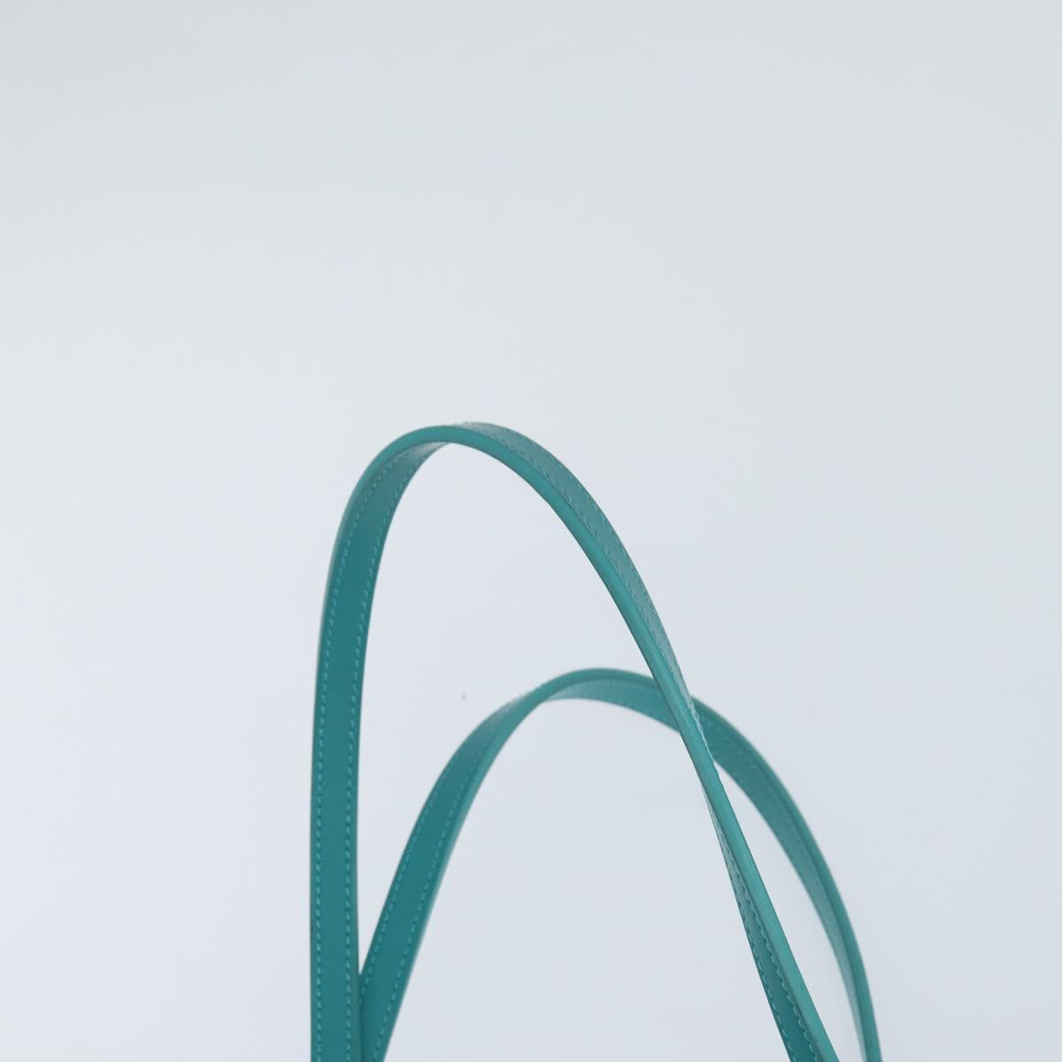 Christian Dior Canage Panarea Bag Coated Canvas Turquoise Blue Auth 149047