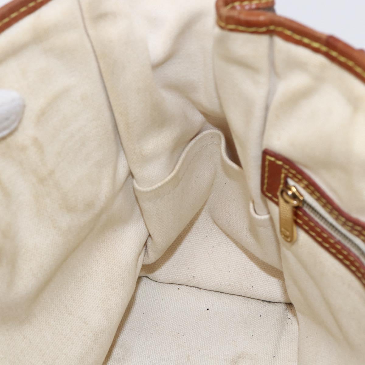 LOUIS VUITTON Monogram Tise Sac Rayure PM Hand Bag Marron M56386 LV Auth 149085