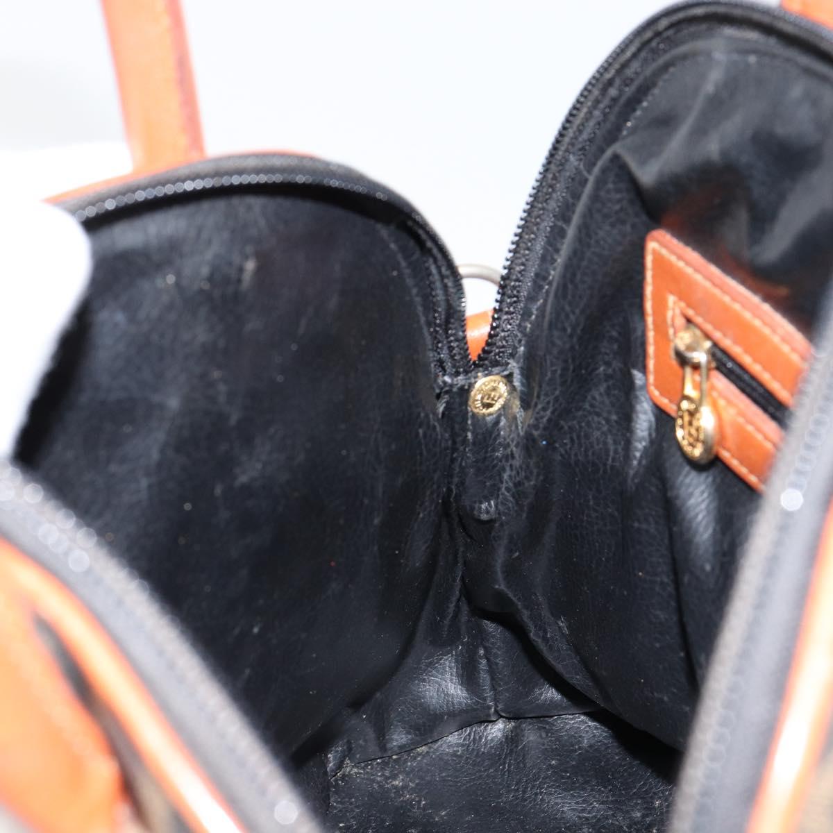 FENDI Zucca Canvas Hand Bag PVC Vintage Black Brown gold Auth 149705