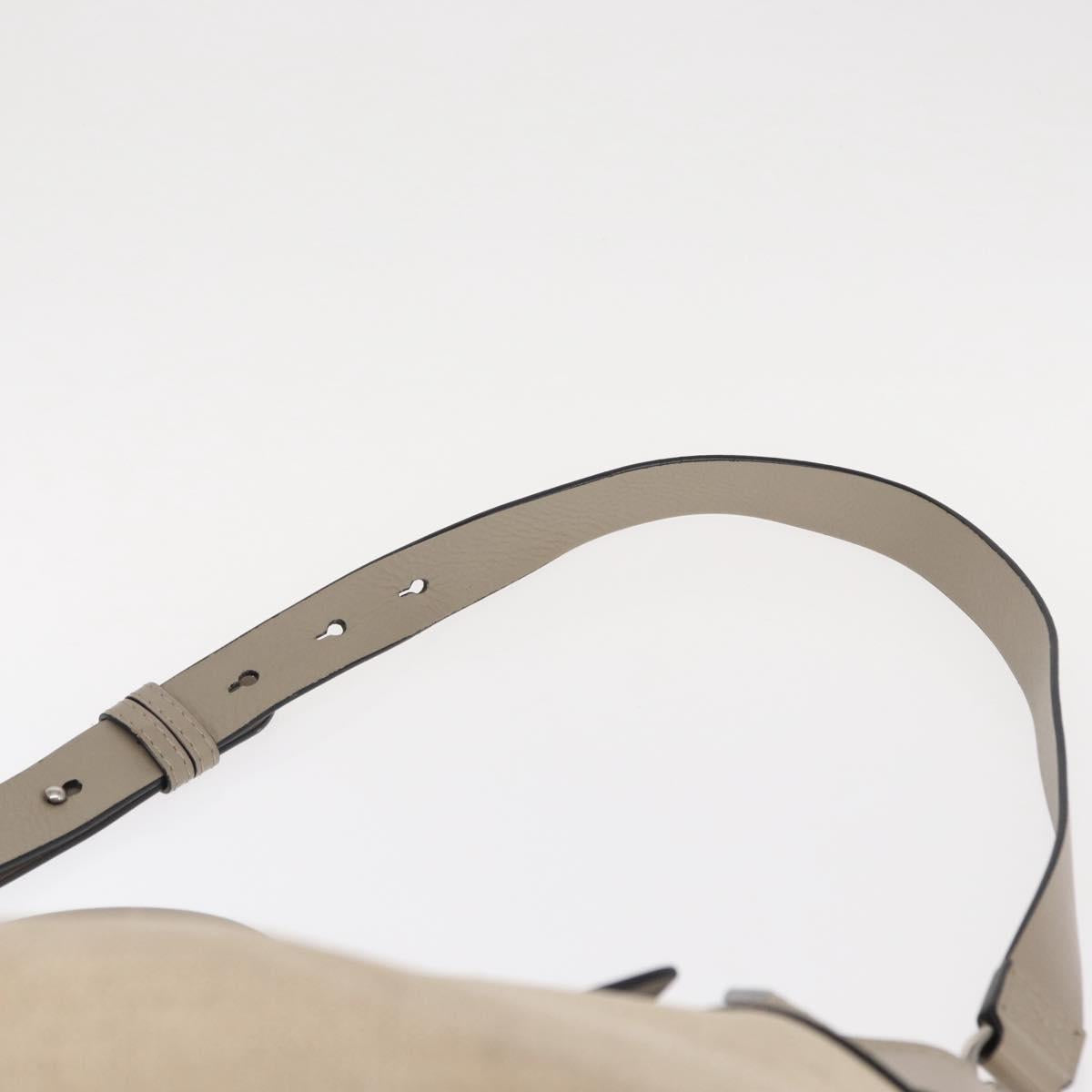 BURBERRY Medium Belt Bag Hand Bag Canvas 2way Beige Silver Auth 149727