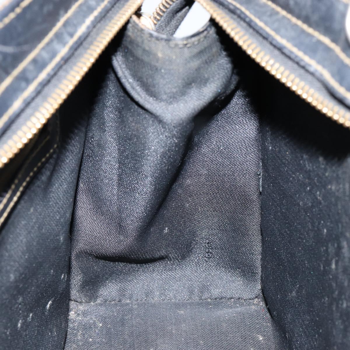 FENDI Pecan Canvas Hand Bag PVC Black Brown gold Auth 150002