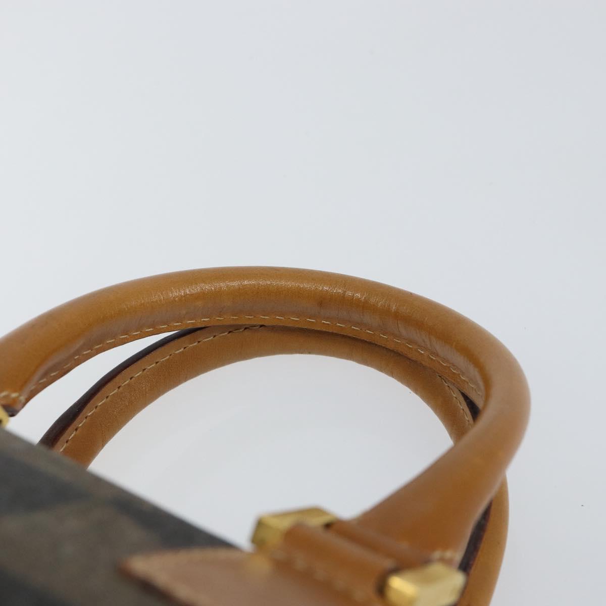 FENDI Pecan Canvas Hand Bag PVC Black Brown Auth 150072