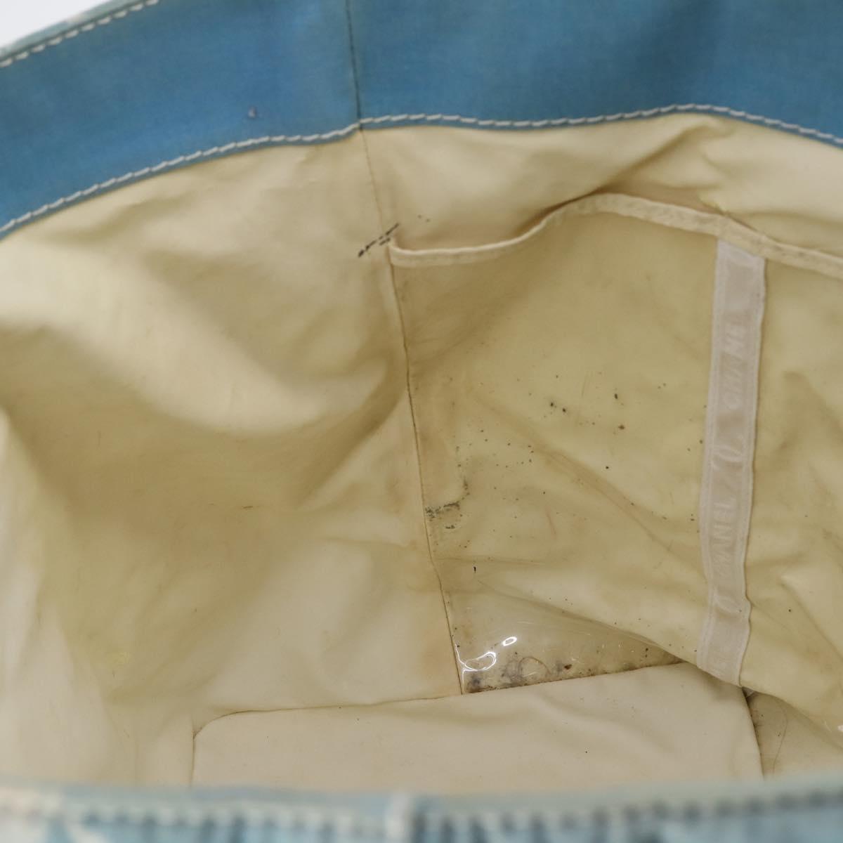 CHANEL Surfline Tote Bag Canvas Blue White CC Auth 150551