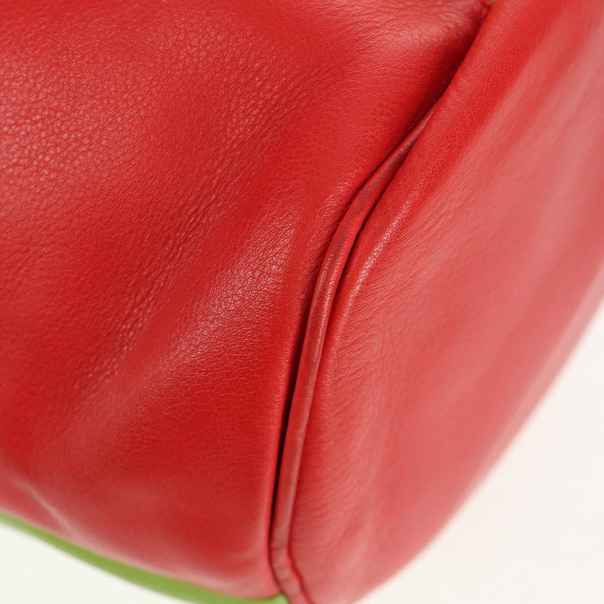 CELINE Shoulder Bag Leather Multicolor Gold Auth 150568