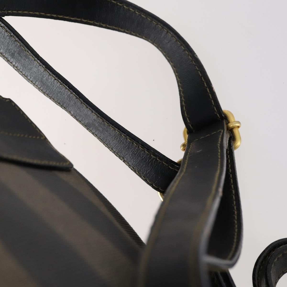 FENDI Pecan Canvas Backpack PVC Brown Black gold Auth 151065