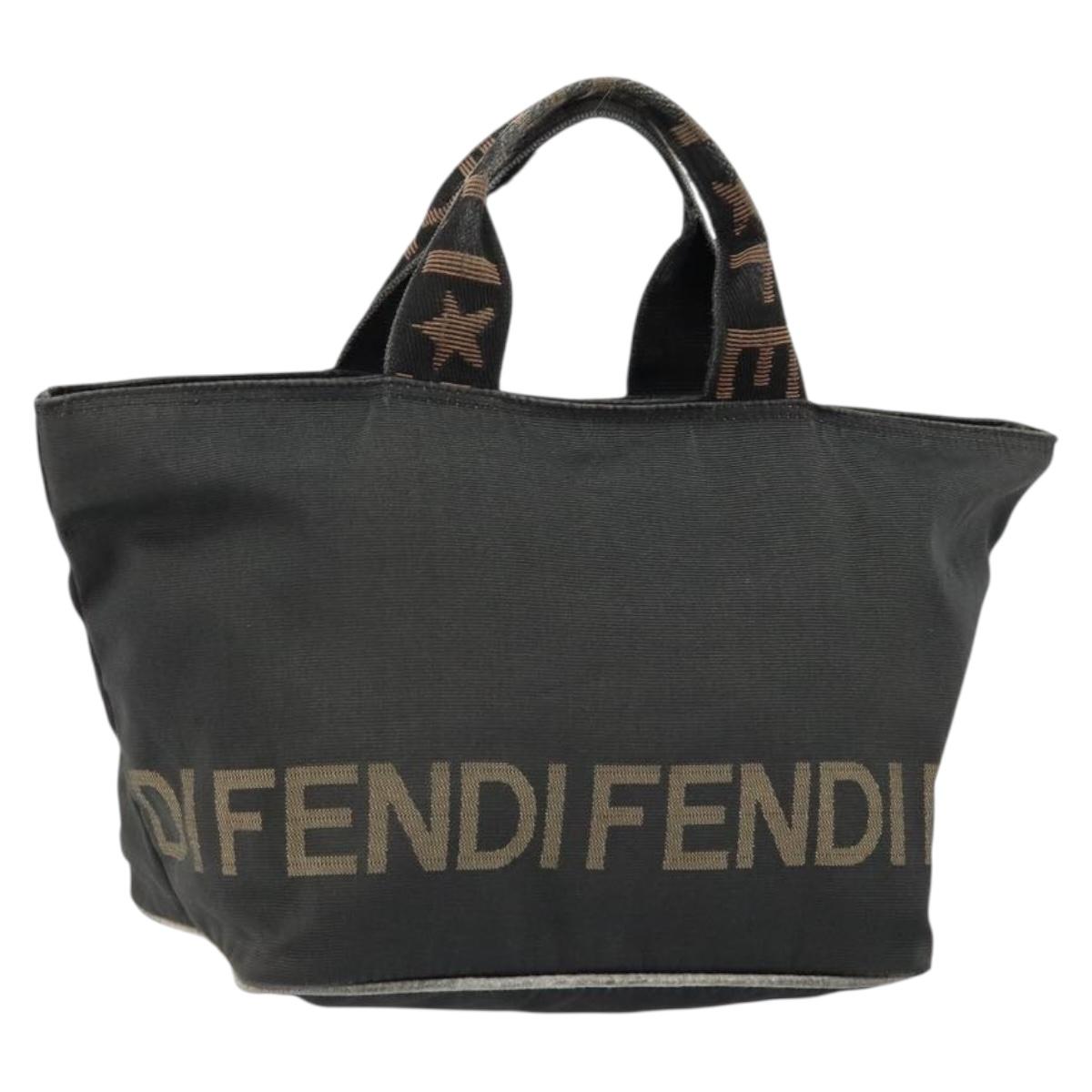FENDI Hand Bag Black Auth 151941