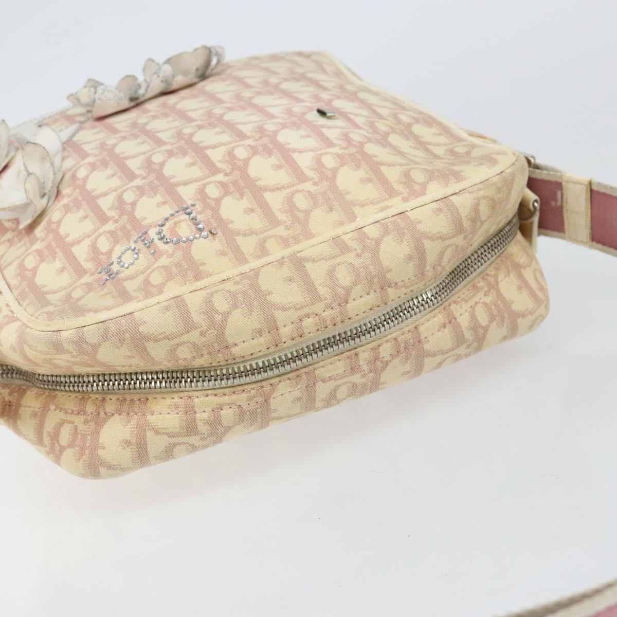 Christian Dior Trotter Canvas Shoulder Bag Pink Silver Auth 151952