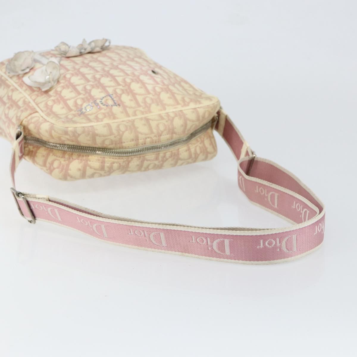 Christian Dior Trotter Canvas Shoulder Bag Pink Silver Auth 151952