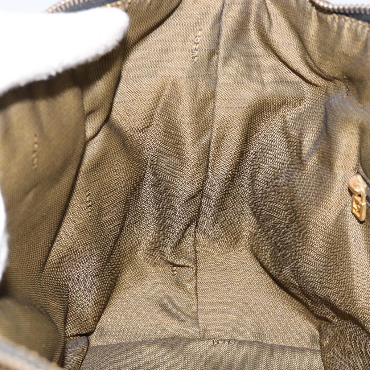 FENDI Zucca Canvas Vanity Hand Bag Black Brown Auth 153117