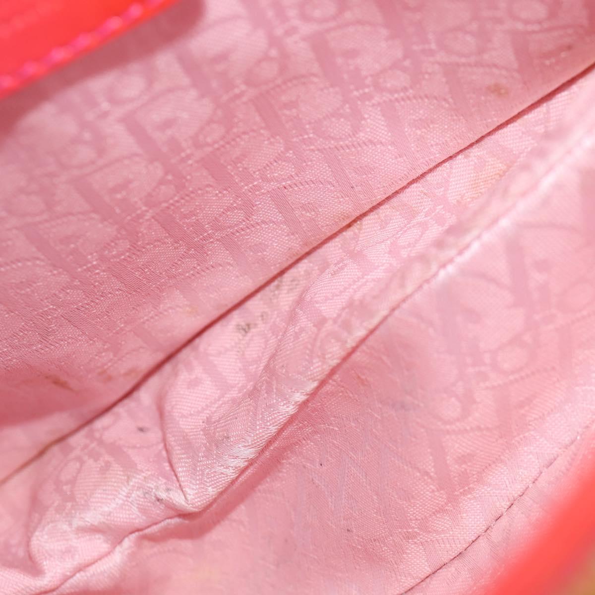 Christian Dior Saddle Shoulder Bag Canvas Pink Silver Auth 153630SAV